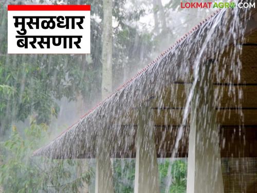 Maharashtra Weather Update : Red alert for rain in these districts of the state; Possibility of heavy rain | Maharashtra Weather Update : राज्यात 'या' जिल्ह्यांत पावसाचा रेड अलर्ट; मुसळधार पावसाची शक्यता