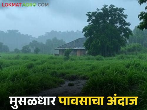 Latest News Maharshtra Rain Low pressure area over Bay of Bengal, heavy rains expected in these district | Maharashtra Rain : बंगालच्या उपसागरावर कमी दाबाचा पट्टा, 'या' जिल्ह्यात मुसळधार पावसाचा अंदाज
