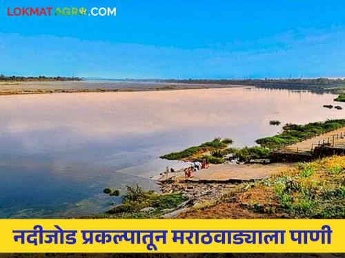 Marathawada Water Issue: Will Marathwada get water from the Wainganga, Nalganga river connection project? | Marathawada Water Issue : वैनगंगा, नळगंगा नदीजोड प्रकल्पातून तरी मराठवाड्याला मिळेल का पाणी?