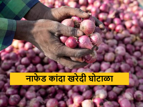 Latest news Action against two officials in case of Nafed onion purchase scam in nashik | NAFED Onion Issue : नाफेड कांदा खरेदी घोटाळाप्रकरणी अधिकाऱ्यांची उचलबांगडी, नेमकं प्रकरण काय? 