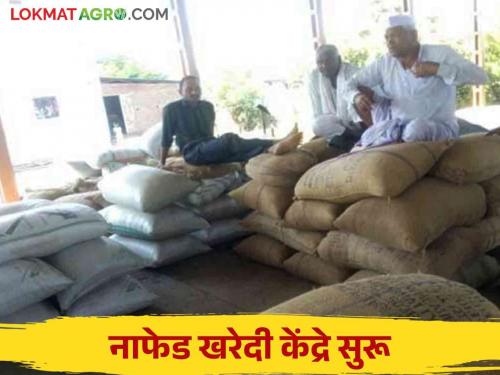 NAFED : NAFED center Started center operators waiting for Farmers | NAFED : नाफेड केंद्रात वजनकाट्याला सुरूवात; केंद्र चालकांना शेतकऱ्यांची प्रतीक्षा!