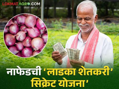 Nafed Onion Scam: Nafed's secrete 'Ladka Shetkari Yojana' has brought Fortuner cars to the door | Nafed Onion Scam: नाफेडच्या ‘लाडक्या शेतकरी योजने’मुळे दारात आली फॉर्चुनर गाडी