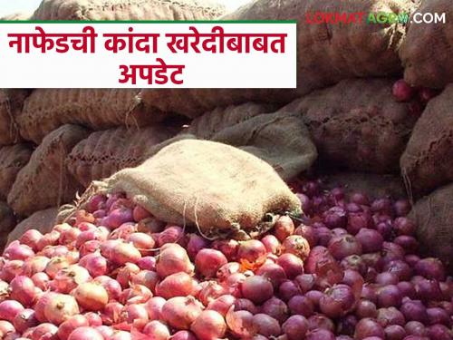 Latest News Nafed Kanda Kharedi Nafed onion procurement to start in three-four days says nashik nafed manager | Nafed Kanda Kharedi : नाफेड कांदा खरेदी याच आठवड्यात? जाणून घ्या सविस्तर