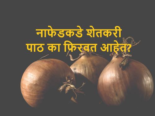 Nafed, NCCF's onion procurement centers are getting low response of farmers | Nafed, NCCF: नाफेड, एनसीसीएफच्या कांदा खरेदी केंद्रांना लागणार टाळे