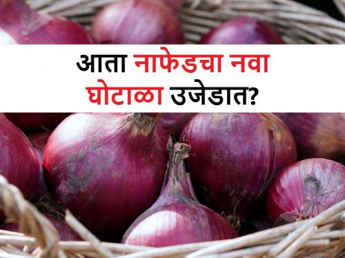 Nafed's new scam? Onion purchase through rejected FPOs, who are these companies  | Nafed Scam: नाफेडचा नवा घोटाळा? नाकारलेल्या एफपीओं मार्फत कांदा खरेदी, कोण आहेत या कंपन्या 