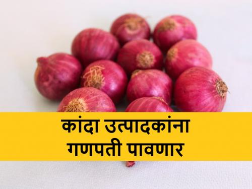 Don't believe the rumors of Nafed's onion and prices falling, onion market prices remain stable even during Ganeshotsav | Nafed Onion: नाफेडचा कांदा आणि भाव पडण्याच्या अफवांवर विश्वास नको, गणेशोत्सवातही कांदा भाव टिकणार?