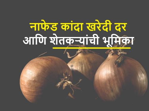 NAFED's Onion Purchase Rate Changed Again; Farmers should not give onion to Nafed  | Nafed Onion Purchase: ‘नाफेडच्या कांदा खरेदी दरात पुन्हा बदल; शेतकऱ्यांनी नाफेडला कांदा देऊच नये...’ 