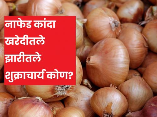 How does Nafed decide onion market price? | नाफेडचा कांदा बाजारभाव कसा ठरतो? खरंच कांदा निर्यात शुल्काचा फायदा झाला का?