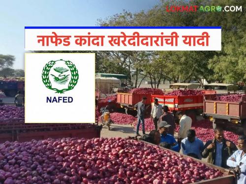 Latest Ndews Nafed Kanda Kharedi Viral list of Nafed onion buyers has surfaced, see total list | Nafed Kanda Kharedi : नाफेड कांदा खरेदीदारांची व्हायरल यादी आली, पहा यादीत कुणाकुणाची नावं? 