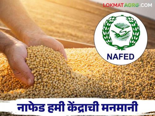 Nafed Market: Nafed guarantee center farmers looting | Nafed Market : नाफेड हमी केंद्राच्या शेतकऱ्यांची लूट; शेतकऱ्यांना मिळतोय 'हा' दर