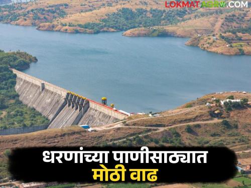 After heavy rains, the water storage in the dams of Nagar district has doubled; How much water is in which dam? | दमदार पावसानंतर नगर जिल्ह्यातील धरण पाणीसाठ्यात दुपटीने वाढ; कोणत्या धरणात किती पाणी?