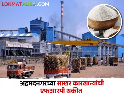 Latest news FRP of 392 crores due to sugar mills in Ahmednagar district see details | Sugar Factory : अहमदनगर जिल्ह्यातील साखर कारखान्यांकडे एफआरपी थकीत, कुणाकडे किती रक्कम?