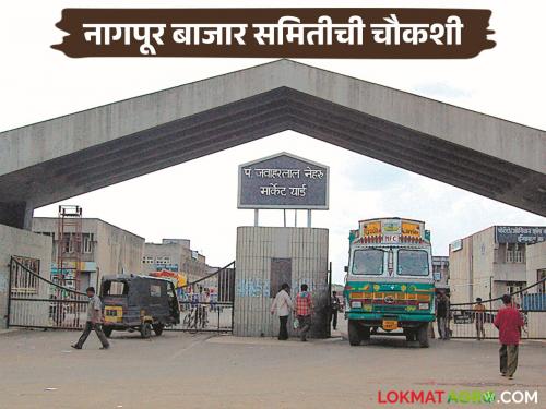 Latest news Agriculture News SIT to investigate Nagpur Market Committee, read details issue | Nagpur Market : नागपूर बाजार समितीच्या चौकशीसाठी एसआयटी, काय आहे प्रकरण? 