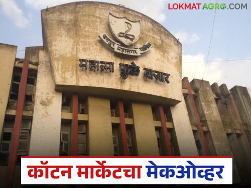 latest news Cotton Market: Makeover of Cotton Market; A golden opportunity for all, from farmers to startups, read in detail | Cotton Market : कॉटन मार्केटचा मेकओव्हर; शेतकरी ते स्टार्टअप्स, सर्वांसाठी सुवर्णसंधी वाचा सविस्तर