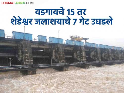 15 gates of Vadgaon and 7 gates of Shadeshwar reservoir were opened; Release of 928.65 cusecs of water from Two Reservoirs | वडगावचे १५ तर शेडेश्वर जलाशयाचे ७ गेट उघडले; दाेन जलाशयांमधून ९२८.६५ क्युसेक पाण्याचा विसर्ग