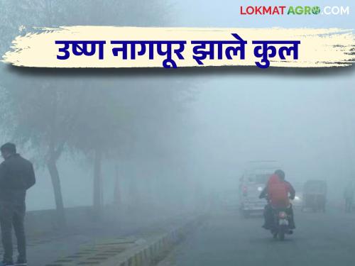 Nagpur Weather Report: Nagpur is coldest in Vidarbha; The mercury has dropped to such a degree that read the detailed weather forecast below | Nagpur Weather Report : विदर्भात नागपूर सर्वांत थंड ; पारा इतक्या अंशानी घसरला खाली हवामान अंदाज वाचा सविस्तर