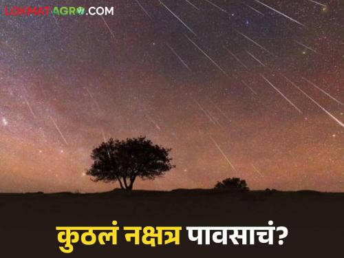 Latest news Monsoon rain How to predict rain from constellations see details | नक्षत्रांच्या वाहनांवरून कसा काढायचा पावसाचा अंदाज? कुठल्या नक्षत्रात सर्वदूर पाऊस? 