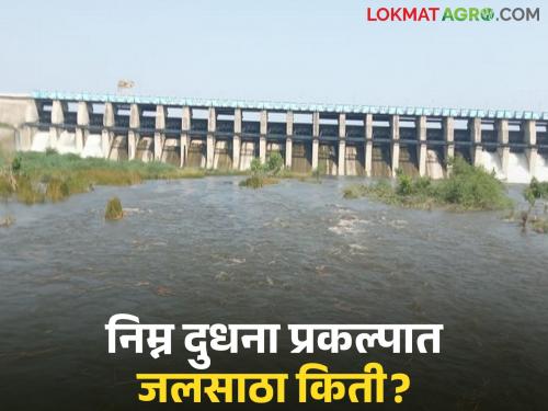 latest news Nimna Dudhana Prakalpa: Heavy rain in Partur; Water storage in Lower Dudhana Dam tripled Read in detail | Nimna Dudhana Prakalpa : परतुरमध्ये दमदार पाऊस; निम्न दुधना धरणात तिप्पट पाणीसाठा वाचा सविस्तर