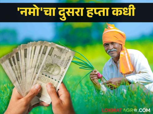 Namo Maha Sanman Yojana : Namo Maha Sanman Yojana received only one installment when the second? | Namo Maha Sanman Yojana : नमो महासन्मानचा एकच हप्ता मिळाला दुसरा कधी?