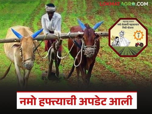 Latest news Pm Kisan Scheme Funds have been received for 7th week of Namo Shetkari Samman yojna See details | नमो शेतकरी सन्मानचा 7 वा हफ्ता वितरणासाठी निधी आला, कधीपर्यंत मिळणार हफ्ता? 