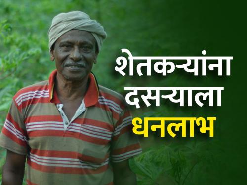 85 lakh 60 thousand farmers will get the first installment of Namo on Thursday | ८५ लाख ६० हजार शेतकऱ्यांना गुरुवारी मिळणार नमोचा पहिला हप्ता