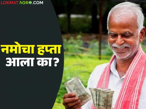 Namo Kisan Hapta : The wait for Namo Shetkari installment is finally over; Money will be in farmers' accounts today | Namo Kisan Hapta : नमो शेतकरी हप्त्याची प्रतीक्षा अखेर संपली; आज शेतकऱ्यांचा खात्यावर येणार पैसे