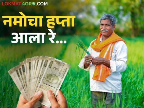 Finally, the GR of Namo's installment has arrived; money will be deposited in the farmers' accounts in the next 15 days | अखेर नमोच्या हप्त्याचा जीआर आला; येत्या १५ दिवसांत शेतकऱ्यांच्या खात्यावर जमा होणार पैसे