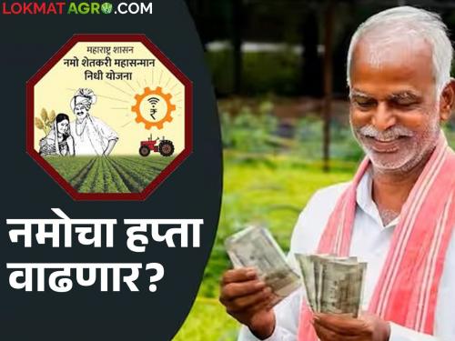 Namo Kisan Hapta : Will the installment of Namo Shetkari Samman Yojana increase? Know the details | Namo Kisan Hapta : नमो शेतकरी सन्मान योजनेच्या हप्त्यात वाढ होणार? जाणून घ्या सविस्तर