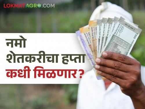 The second installment of Namo Shetkari Mahasanman Nidhi Yojana will soon be in the farmers' accounts | नमो शेतकरी महासन्मान निधी योजनेचा दुसरा हप्ता लवकरच शेतकऱ्यांचा खात्यावर