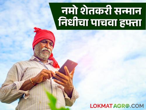 Latest News Namo shtekari Yojana Approval of 5th Installment of Namo Shetkari Mahasanman Nidhi, know in detail  | Namo Shetkari Yojana : नमो शेतकरी महासन्मान निधीच्या पाचव्या हफ्त्यास मंजुरी, जाणून घ्या सविस्तर 