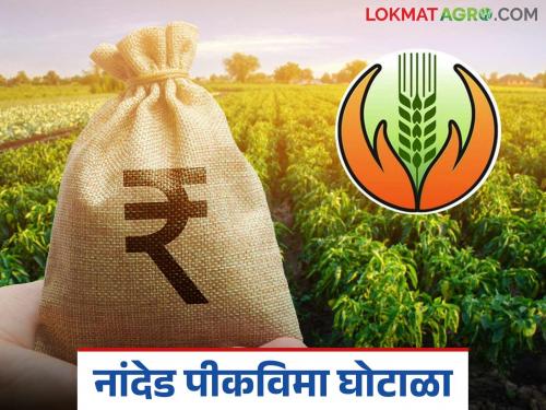 latest news Bogus Pik Vima: Bogus insurance in the name of farmers; 40 Setu center operators in trouble in Nanded Read in detail | Bogus Pik Vima : शेतकऱ्यांच्या नावाने बोगस विमा; नांदेडमध्ये ४० सेतू केंद्रचालक अडचणीत वाचा सविस्तर