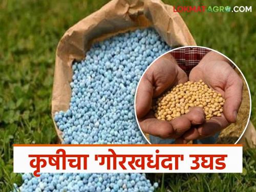 latest news Fake Seeds: Agriculture department supports fake seeds racket in Nanded; Farmers' anger erupts | Fake Seeds : नांदेडमध्ये बोगस बियाण्यांच्या रॅकेटला 'कृषी'ची साथ; शेतकऱ्यांचा संताप उसळला