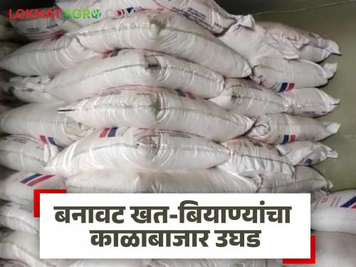 Infiltration of bogus seeds from border areas; Black market exposed in Marathwada including Nanded! Read in detail | सीमावर्ती भागातून बोगस बियाण्यांची घुसखोरी; नांदेडसह मराठवाड्यात काळाबाजार उघड! वाचा सविस्तर