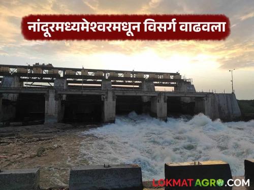 Latest news Jayakwadi dam will be full, 19 thousand 717 cusecs will be discharged from Nandur Madhyameshwar | जायकवाडी फुल्ल होणार, नांदुरमध्यमेश्वरमधुन 19 हजार 717 क्युसेक्सने विसर्ग