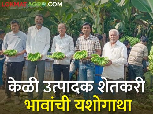 Latest News Success story of nandurbar banana producer brothers, export of banana to Iran | केळी उत्पादक शेतकरी भावांची यशोगाथा, पहिल्यांदाच इराणला केळी निर्यात 