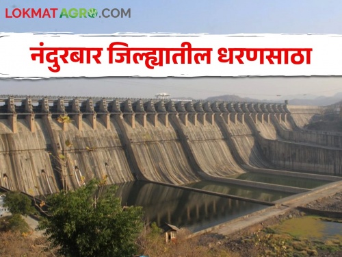 Latest News 46 percent water storage is left in Nandurbar district dams read in detail | Dam Storage : नंदुरबार जिल्ह्यातील धरणांत 46 टक्के पाणीसाठा शिल्लक, वाचा सविस्तर 