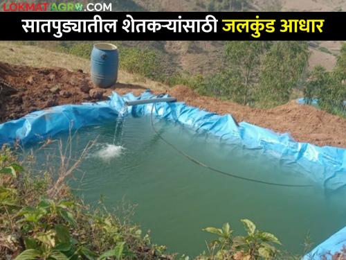 Latest News Farming of tribal farmers through water tank in Nandurbar district | जलकुंडांमुळे सातपुड्यातील डोंगरमाथ्यावर शेती फुलली अन् आदिवासी शेतकऱ्यांचं स्थलांतर थांबलं! 