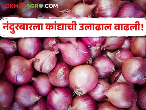 Latest News Onion export from Nandurbar market committee to North India | नंदुरबार बाजार समितीतून उत्तर भारतात कांदा निर्यात, इथे काय बाजारभाव मिळतोय?