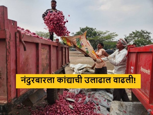 Latest News Onion turnover increased in Nandurbar market committee, see market price | नंदुरबार बाजार समितीत व्यापारी रांगड्या कांद्याला का पसंती देत आहेत? वाचा सविस्तर