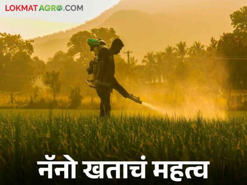 Nano Fertilizer : Read more about Effective Nano Fertilizers to Reduce Cost of Chemical Fertilizers | Nano Fertilizer : रासायनिक खतांवरील खर्च कमी करण्यासाठी प्रभावी नॅनो खते वाचा सविस्तर