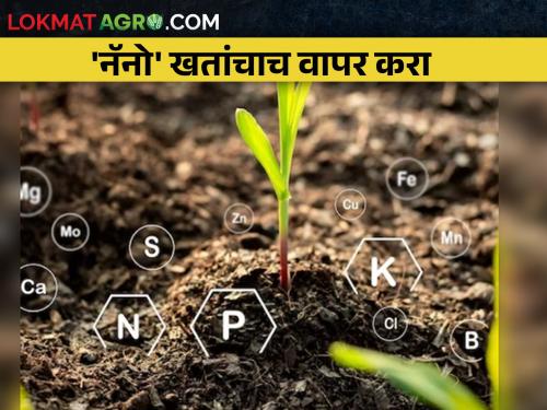 Increase use of 'nano' fertilizers by reducing expenditure on chemical fertilizers | रासायनिक खतांवरील खर्च कमी करून 'नॅनो' खतांचा वापर वाढवा