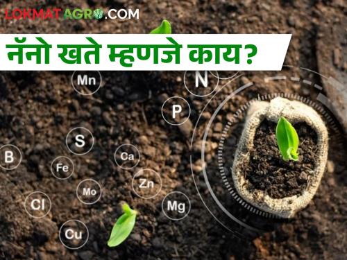 Want to reduce crop production costs? Use Nano Urea and Nano DAP | पिक उत्पादन खर्च कमी करायचाय? नॅनो युरिया व नॅनो डीएपी वापरा