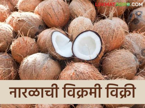 Naral Market : Sale of four and a half thousand tons of coconut to Ganesha Fesdtival | Naral Market : बाप्पा पावला साडेचार हजार टन नारळाची विक्री