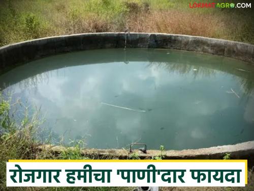 latest news NREGA Sincana Vihira: Abundant water supply to the wells of the Employment Guarantee Scheme in June itself Read in detail | NREGA Sinchan Vihira : रोजगार हमी योजनेच्या विहिरींना जूनमध्येच पाण्याचा मुबलक पुरवठा वाचा सविस्तर
