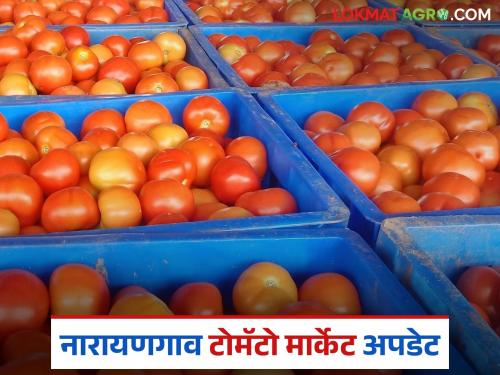 Tomato Market : Agriculture Minister auctions tomatoes at Narayangaon Market Committee; Farmers become rich | Tomato Market : नारायणगाव बाजार समितीत कृषिमंत्र्यांनी केला टोमॅटोचा लिलाव; शेतकरी झाला मालामाल