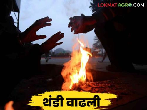 Maharashtra Weather Update : Cold weather in the state The lowest temperature was recorded in these districts | Maharashtra Weather Update : राज्यात थंडीचा कडाका सगळ्यात कमी तापमान नोंदविले या जिल्ह्यांत