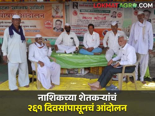 Latest News Farmers are protesting against the bank for 261 days in Nashik | नाशिकचे शेतकरी तब्बल 261 दिवसांपासून आंदोलन करत आहेत? नेमकं कारण काय? 