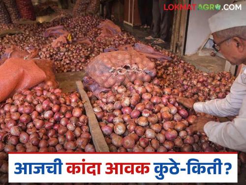 Latest News Kanda Bajar Bhav onion market down in maharashtra see prices in nashik district | Kanda Bajar Bhav : राज्यातील कांदा मार्केटमध्ये घसरण सुरूच, नाशिक जिल्ह्यात काय दर मिळतोय? 