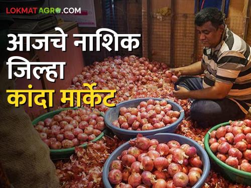 Latest News Kanda Bajarbhav Inflow of red onion increased see todays onion market price | Kanda Bajarbhav : लाल कांद्याची आवक वाढली, उन्हाळ कांद्याला काय भाव मिळाला? वाचा आजचे बाजार भाव