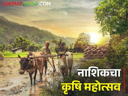 Latest News Agriculture Department's Agricultural Festival from February 10 in nashik | कृषी विभागाचा कृषी महोत्सव 10 फेब्रुवारीपासून, काय-काय असणार?                                                                  